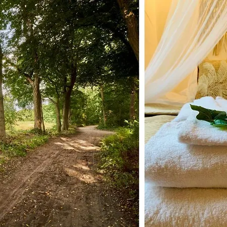 Boshuisje La Casita - Near Wellness & Golf 우스테르하트