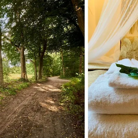 Boshuisje La Casita - Near Wellness & Golf Дом отдыха