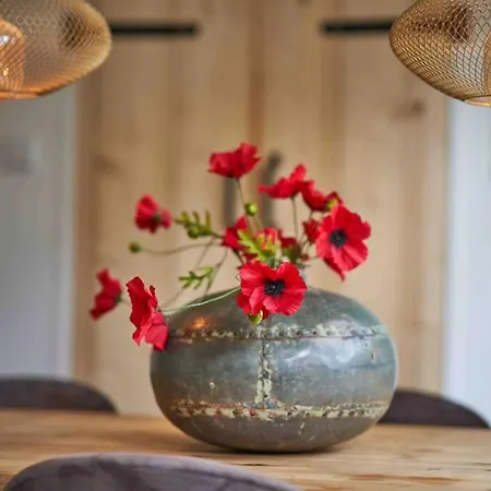 Boshuisje La Casita - Near Wellness & Golf Дом отдыха Остерхаут