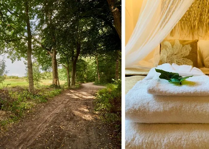 Boshuisje La Casita - Near Wellness & Golf Oosterhout (North Brabant)