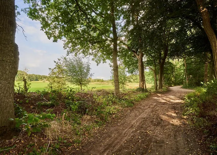 Ferienhaus Boshuisje La Casita - Near Wellness & Golf