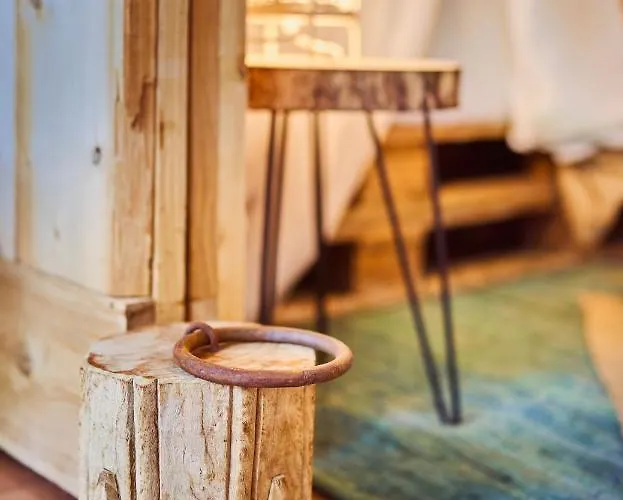 Boshuisje La Casita - Near Wellness & Golf Oosterhout (North Brabant)